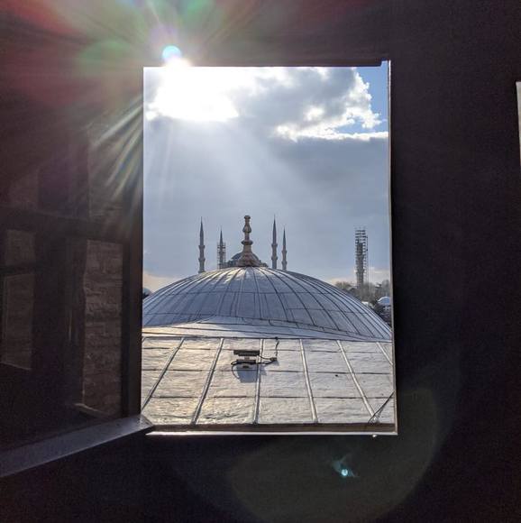 Meet your Posher, Ace - Picture 1 of 1